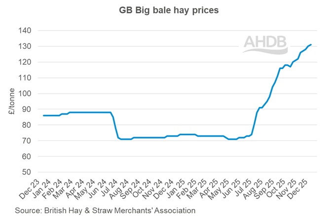 Graph showing GB Big bale hay weekly prices graph 14 December 2025.